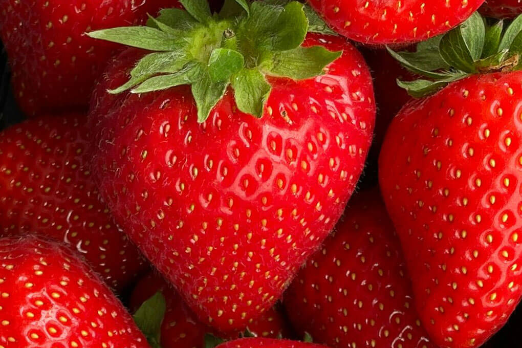 Solops Powered Strawberries